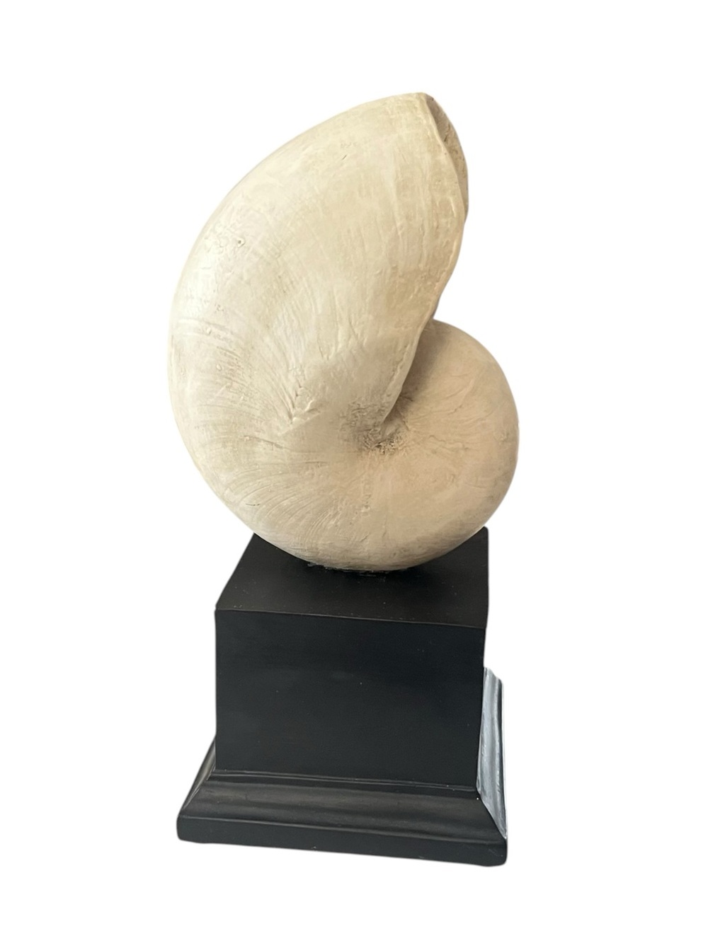 Nautilus Shell On Stand Coastal Decor